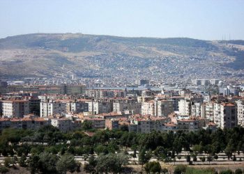 İzmir Bornova Web Tasarım