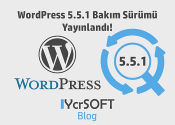 WordPress 5.5.1 Bakım Sürümü Yayınlandı!