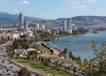 İzmir Bayraklı Web Tasarım